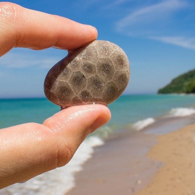 13355472_259308641091948_1457547419_n