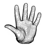 f1p1o9pfevp6wia.large_