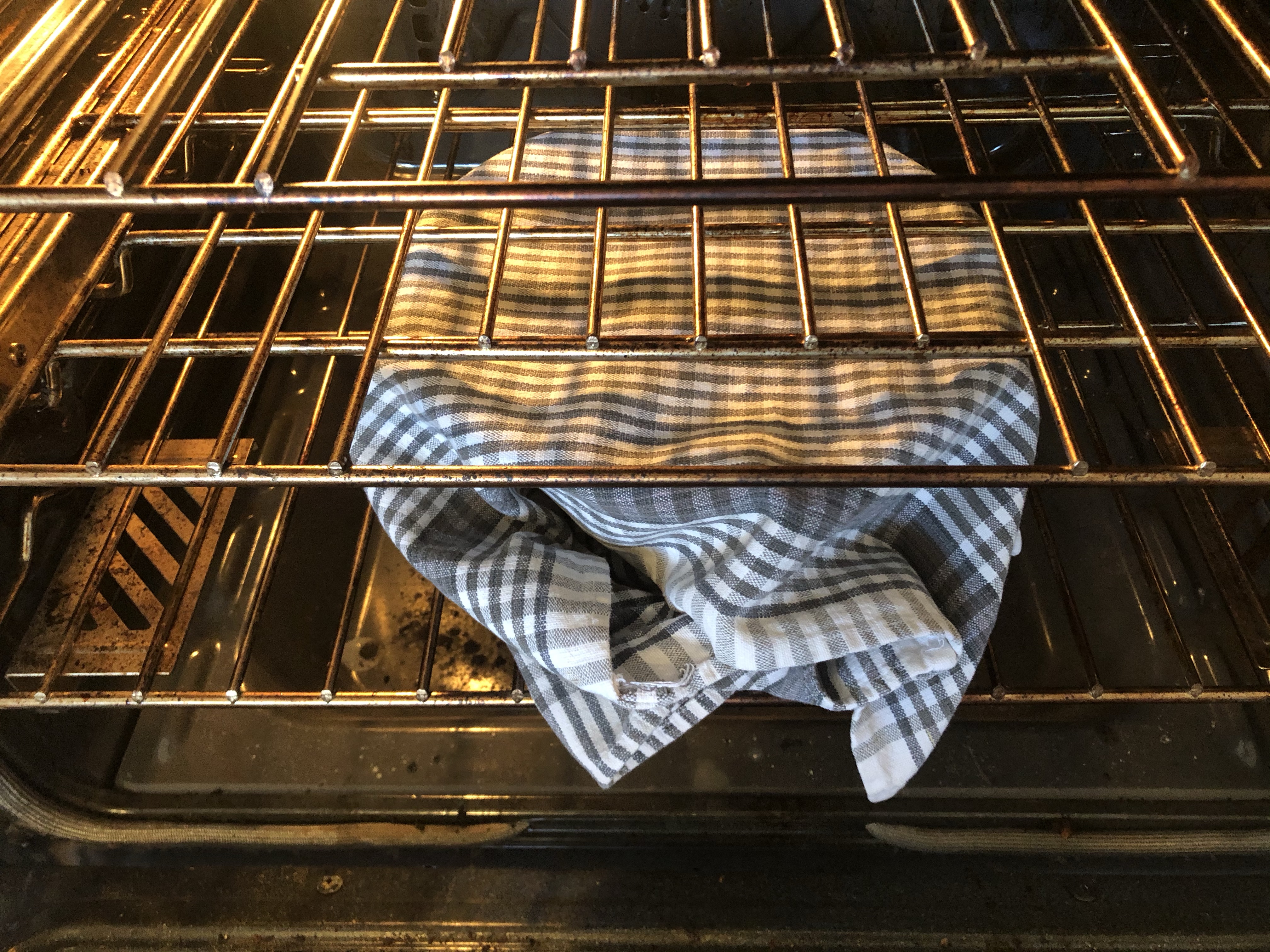Dough rising in the oven