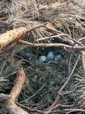 70727127097__f2698130-3c00-4b67-afe1-32cef17b8eef